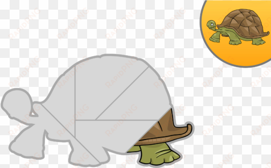 tortoise - animales de galapagos en dibujos animados