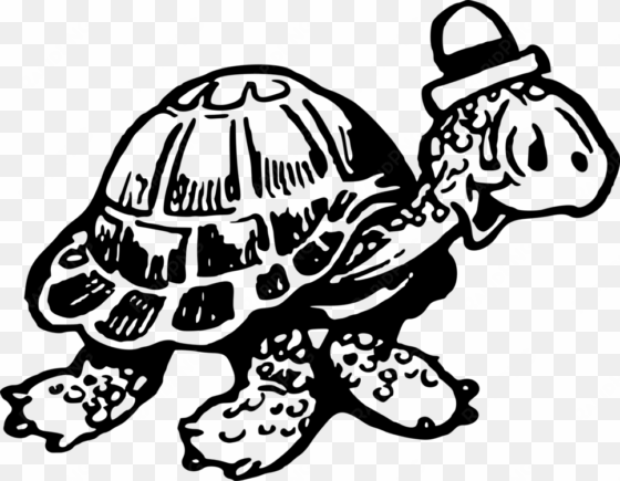 tortoise sea turtle computer icons drawing - turtle