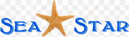 total downloads - starfish