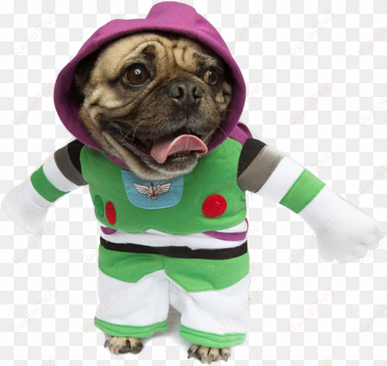 toy story shop - buzz lightyear for dogs