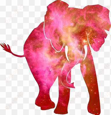 trans par en cy - watercolor pink elephant