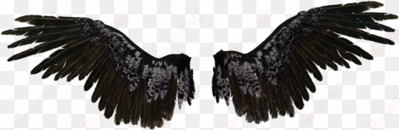 transparent angel wings - black angel wings transparent