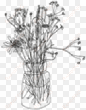 transparent black flower tumblr - contour line drawing flowers