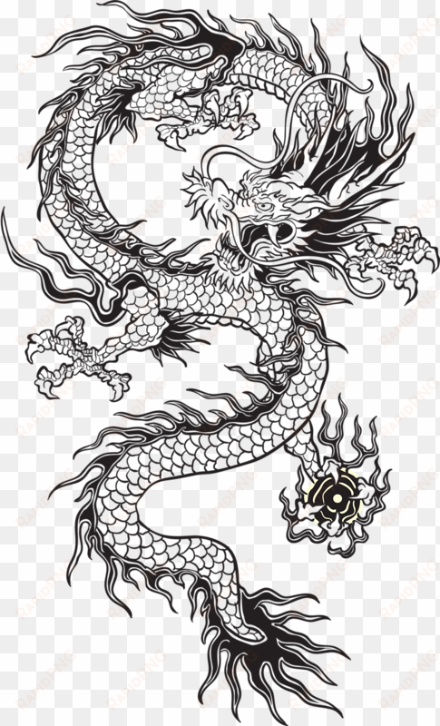 transparent chinese dragon tumblr black and white - transparent chinese dragon