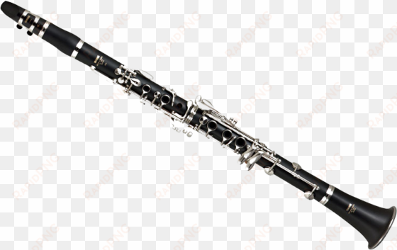 transparent clarinet wind instrument vector royalty - clarinet transparent