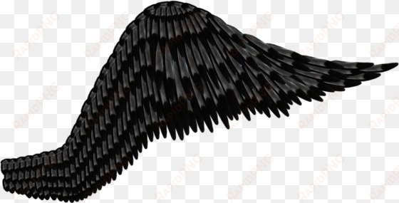 transparent download feathered black gray by thy darkest - black angel wing transparent