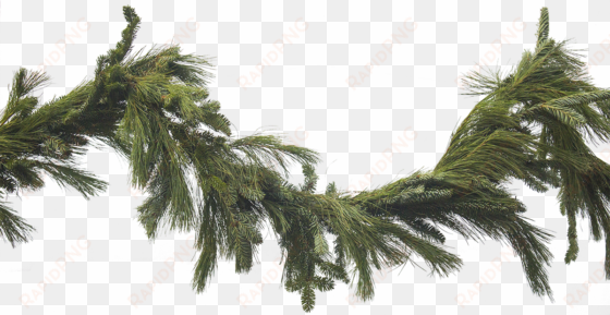 transparent garland png picture library stock - evergreen garland png