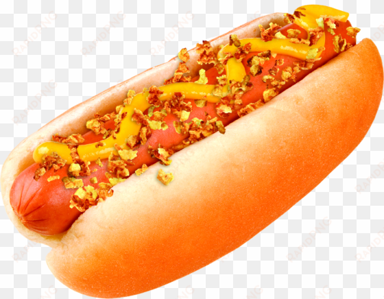 transparent hot dog png