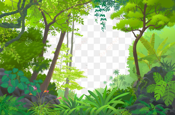 transparent jungle euclidean tropical rainforest - tropical rainforest cartoon
