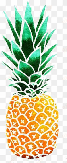 transparent pineapple tumblr - pineapple illustration