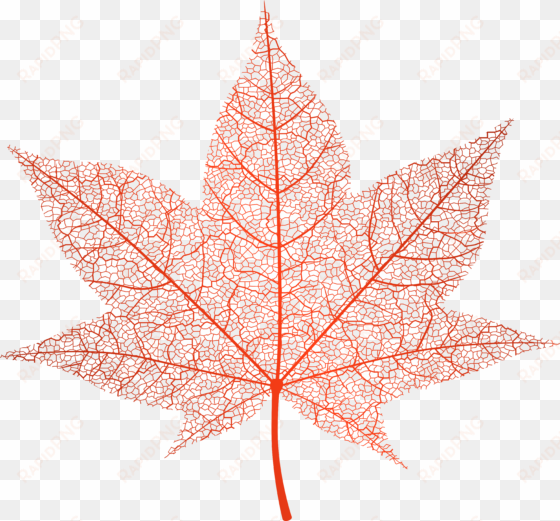 transparent red autumn leaf png clip art image - pink autumn leaf png