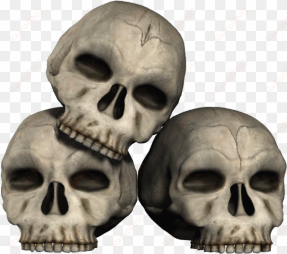 transparent skulls