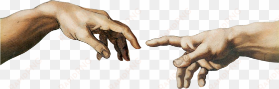 transparent 'the creation of adam' - creation of adam png