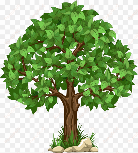 transparent tree png clipart picture - transparent background tree clipart