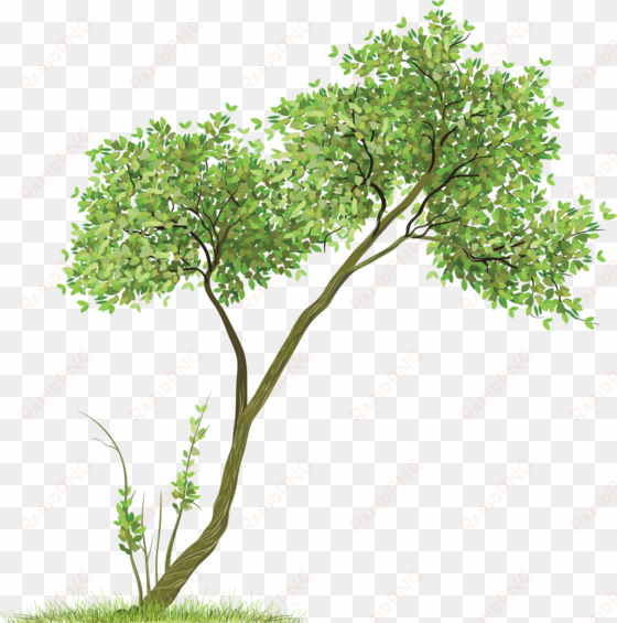transparent tree png clipart - trees png