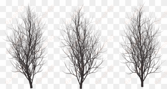 transparent trees winter - winter tree silhouette png