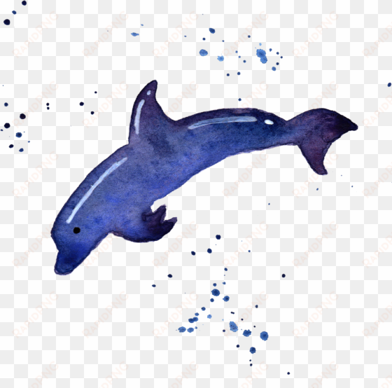 transparent whale watercolor png download - watercolor sea animals transparent