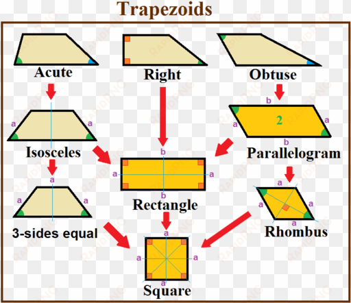 trapezoid special cases - obtuse trapezoid