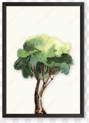 Tree transparent png image