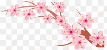 tree branch k pictures full hq painted - cherry blossoms flower line png