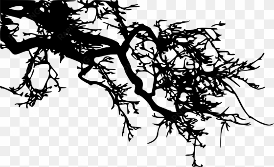 tree branch silhouette png download - art