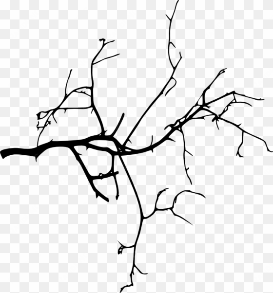 Tree Branches Silhouette At Getdrawings - Tree Branch Png Hd transparent png image