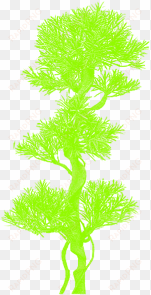 tree clipart vector cartoon without background, tree - clip art