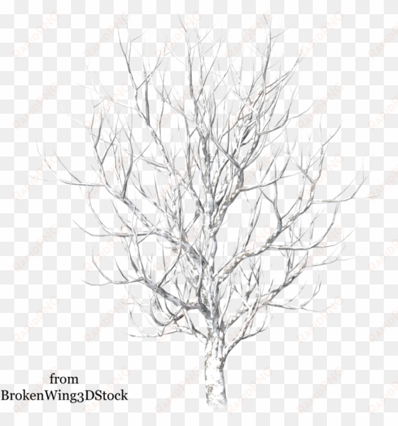 tree in winter drawing at getdrawings - winter snow tree png