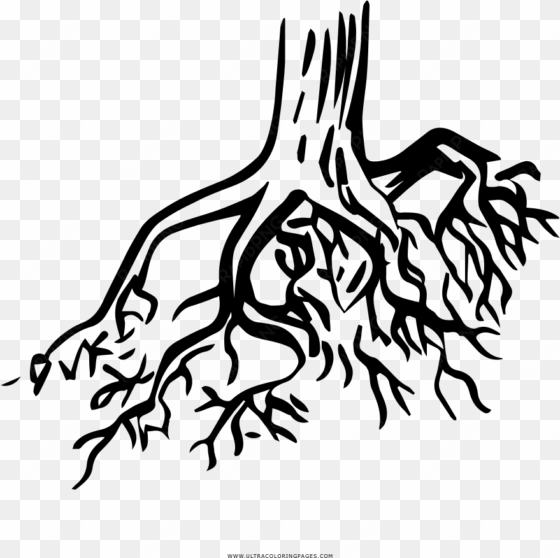 TREE ROOTS COLORING PAGE - RAICES PARA COLOREAR.PNG Tree Roots Coloring Page - Raices Para Colorear transparent png image