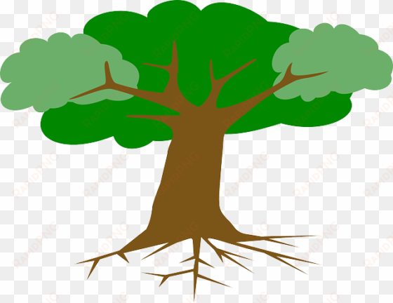 tree, roots, leaves, cross section, plant, branches - animated tree with roots