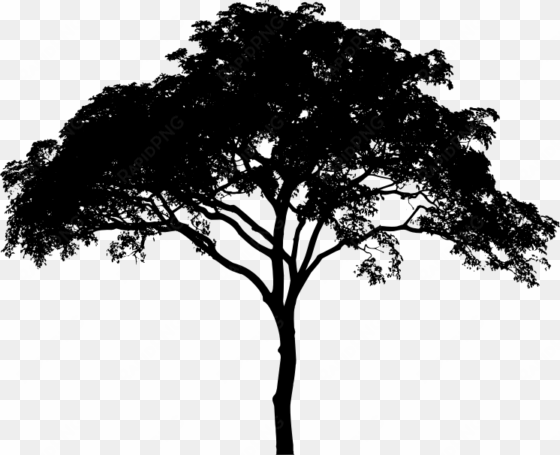 Tree Silhouette Free Download 10 Png Images - Tree Vector Black And White transparent png image