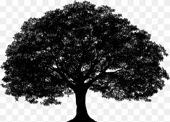 tree silhouette png clip art image - tree silhouette png