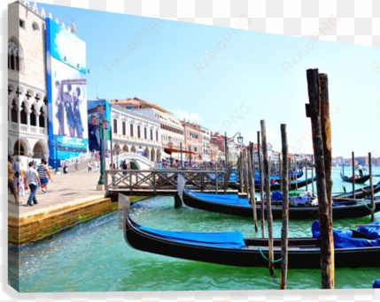 tree top view canvas print - doge's palace