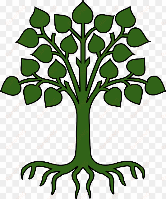 Tree - Tree Root Cause Analysis transparent png image
