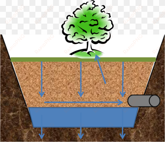 tree trench schematic - sighing forth my soul: reflections along a journey