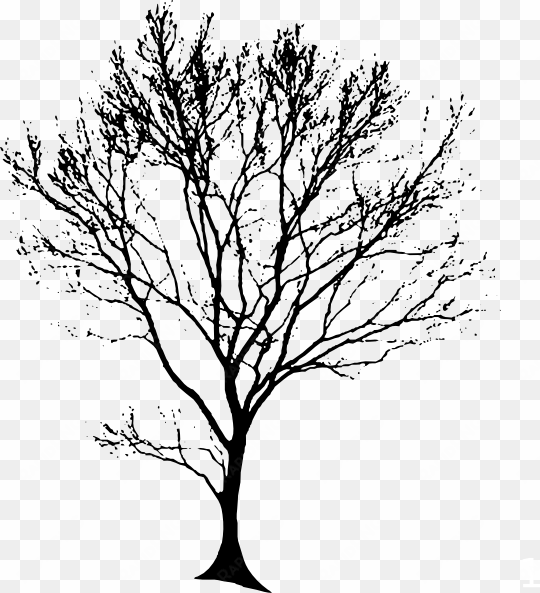 tree trunk line drawing at getdrawings - tree line drawing png