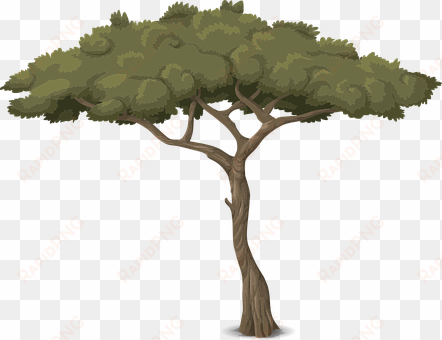 tree trunk nature leaves branches graphic - baum grafik