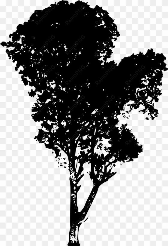 tree vector png download - tree silhouette transparent png