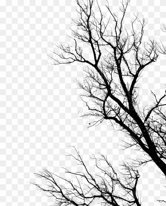 trees sticker - dead by daylight trees transparent