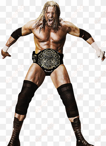 triple h tna world heavyweight champion [fake] - triple h tna champion