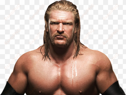 triple h triple h png - world wrestling entertainment: past, present, and future