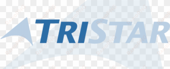 tristar logo blue delta - modelsearch techsoft