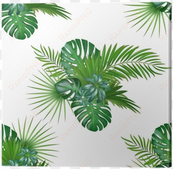 tropical background with jungle plants - jungle plants