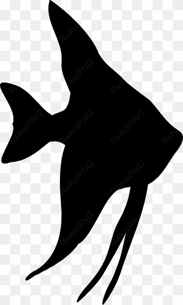 tropical fish silhouette 9tzea4gqc - angelfish silhouette