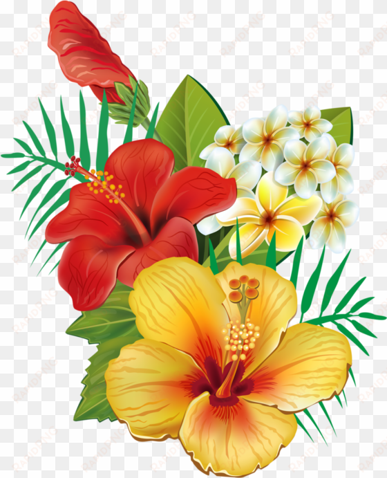 tropical flower watercolor png clip art royalty free - tropical hawaiian flower png