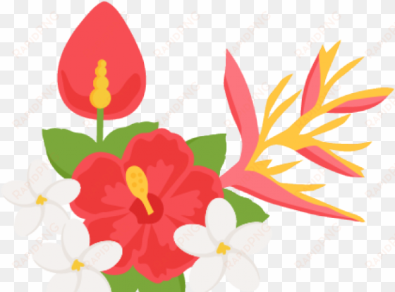 tropical flowers border png png free stock - tropical flower clipart