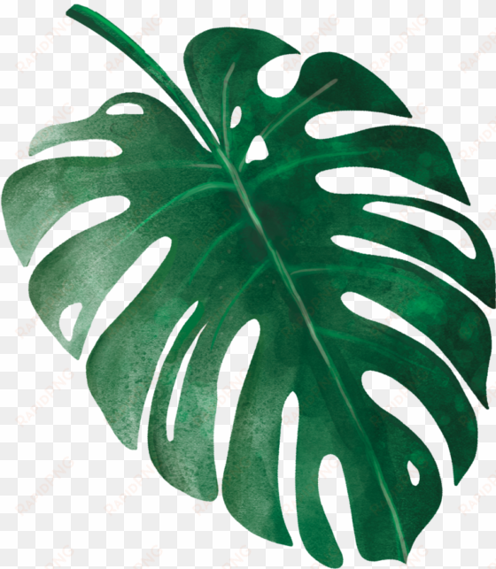 tropical leaves 9