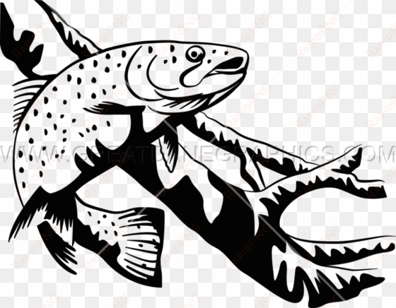 trout clipart line drawing - rainbow trout black and white clipart
