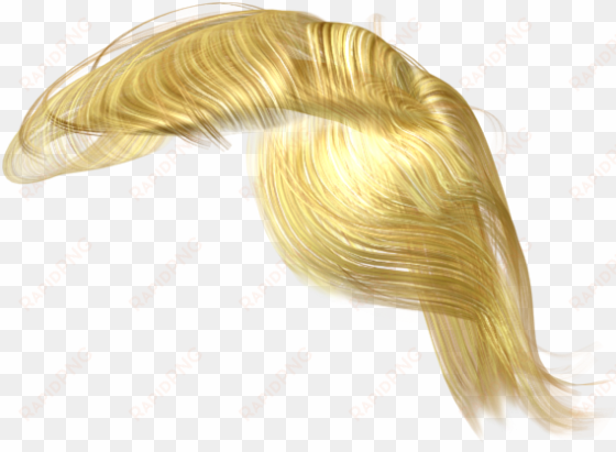 trump hair clipart stock - trump's hair png transparent