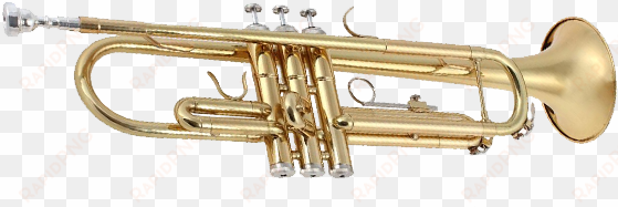 trumpet png - transparent background trumpet transparent